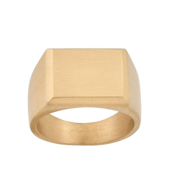 EDBLAD-Cole Signet Ring Matt Gold-Ανδρικό δαχτυλίδι ατσάλι 14K